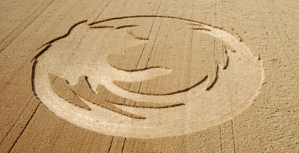 click for more photos